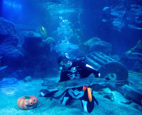 Weird And Wonderful Pictures Of The Week