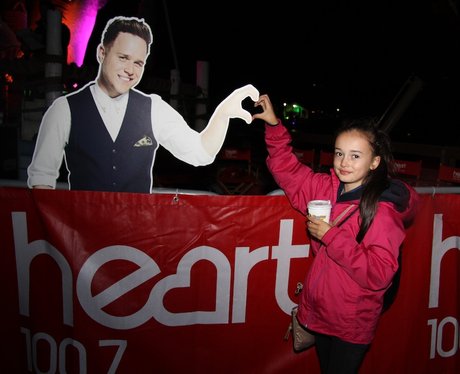 Give it some Heart - Drayton Manor Fireworks