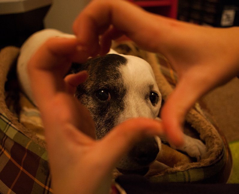 Give it some Heart
