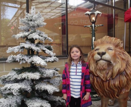 Heart Angels - Cadbury Garden & Leisure Grotto Ope