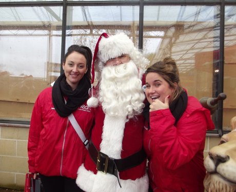 Heart Angels - Cadbury Garden & Leisure Grotto Ope