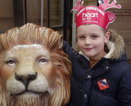 Heart Angels - Cadbury Garden & Leisure Grotto Ope