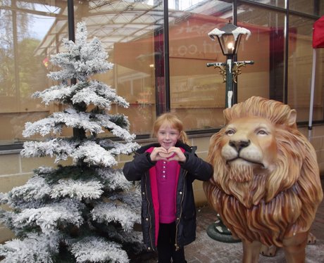 Heart Angels - Cadbury Garden & Leisure Grotto Ope