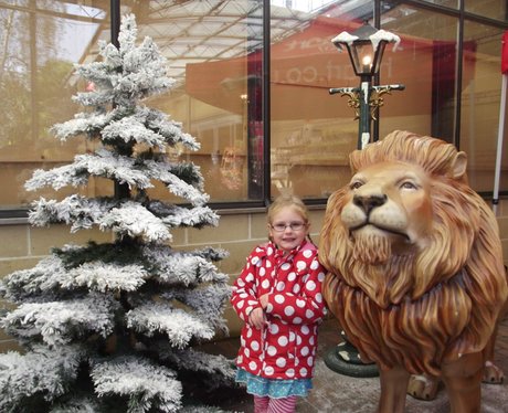 Heart Angels - Cadbury Garden & Leisure Grotto Ope