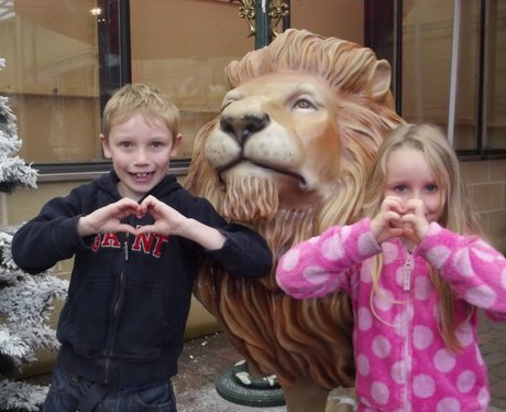 Heart Angels - Cadbury Garden & Leisure Grotto Ope