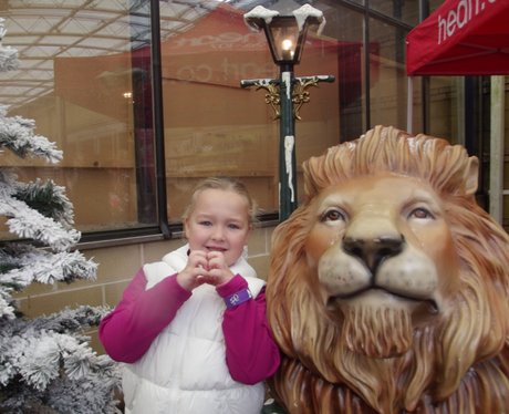 Heart Angels - Cadbury Garden & Leisure Grotto Ope