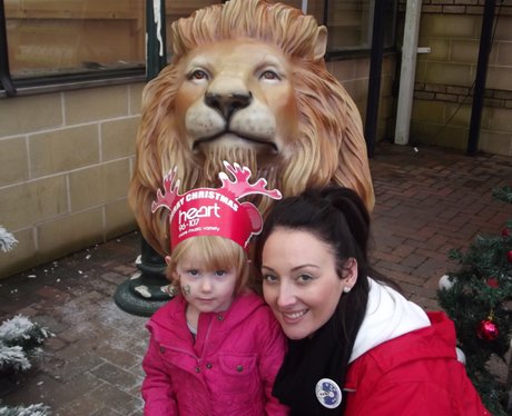Heart Angels - Cadbury Garden & Leisure Grotto Ope