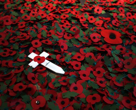 poppies art installation