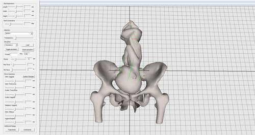 3D Birth Simulator UEA