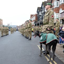 45 Company parade in Marlborough_2