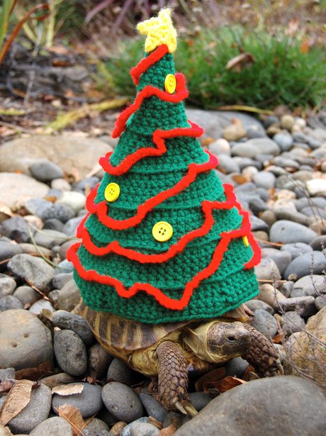 A tortoise in a christmas tree wolley suit