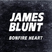 Image 10: James Blunt 'Bonfire Heart' single cover
