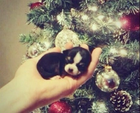Cheryl Cole's Christmas