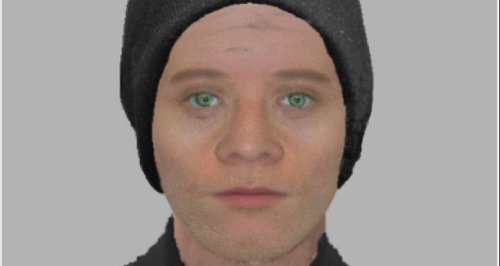Efit released of a man who tried to rob a woman