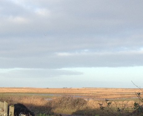 Image of the marshland with crashed helicopter in