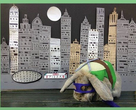 Benjamin The Bunny in a miniature costume against a night time city scene