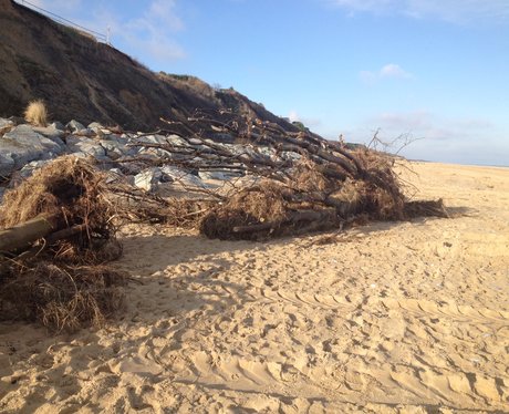 Great Yarmouth Beach Clean Up