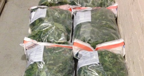 Cannabis bags discarded in Newent