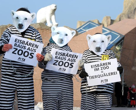 people with bear masks