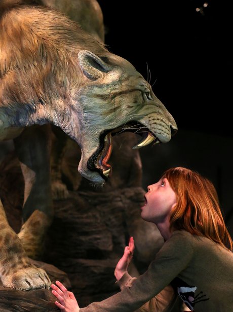 Sabre tooth cat and child