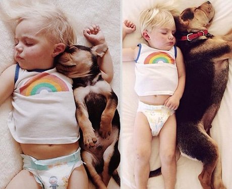 toddler sleeping with brown dog
