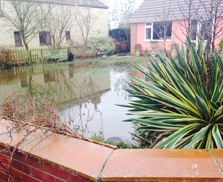 Somerset floods Feb 2014 Moorland