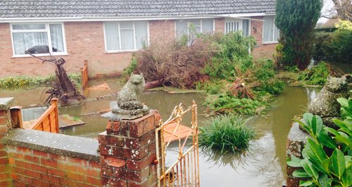 Somerset floods Feb 2014 Moorland