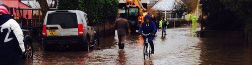 Somerset floods Feb 2014 Moorland