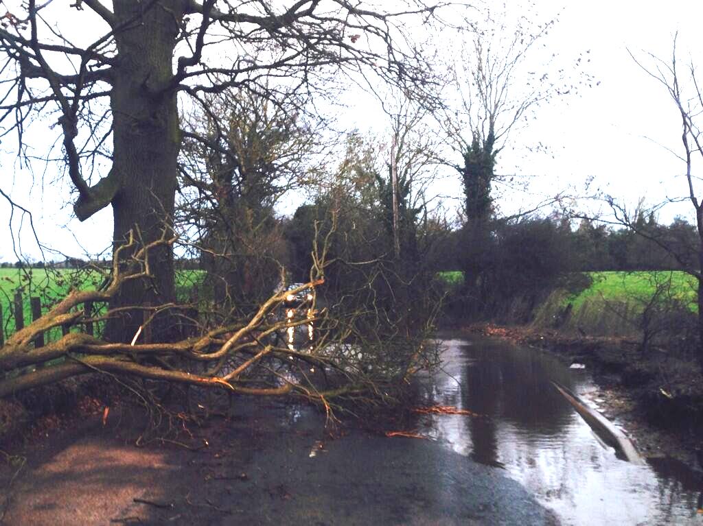 Wind Tree Down Croxley