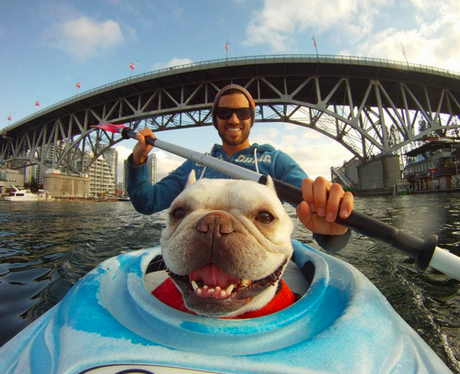 A man kayaking with his dog