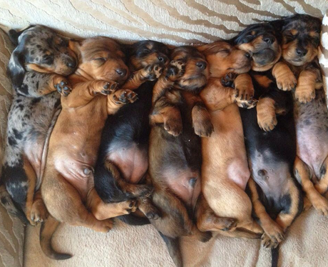 Cutest Pictures Of The Week - 25 February 2014