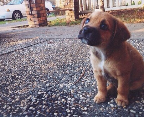 Cutest Pictures Of The Week - 25 February 2014