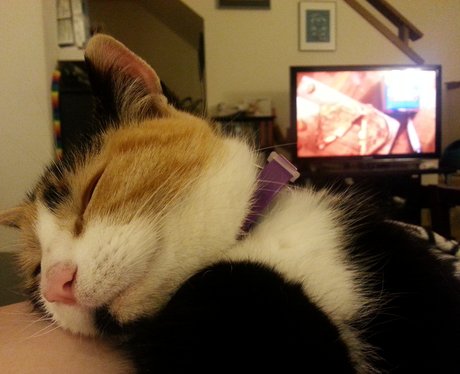 Cutest Pictures Of The Week - 25 February 2014