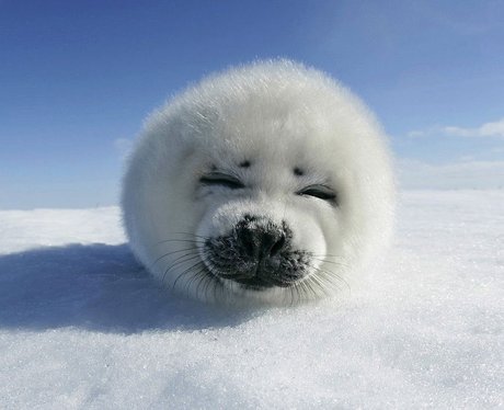 Cutest Pictures Of The Week - 25 February 2014