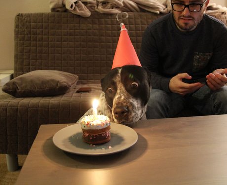 Cutest Pictures Of The Week - 25 February 2014