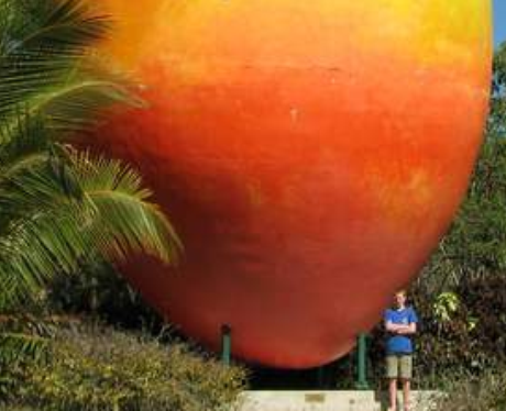 The Giant Mango sculpture