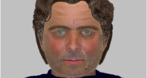 Efit released after woman assaulted in home