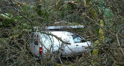 Van protected by branches from fallen tree