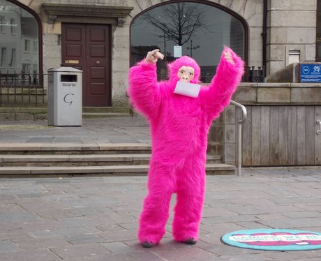 Race For Life Launch: Caernarfon & Bangor