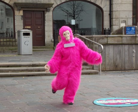 Race For Life Launch: Caernarfon & Bangor