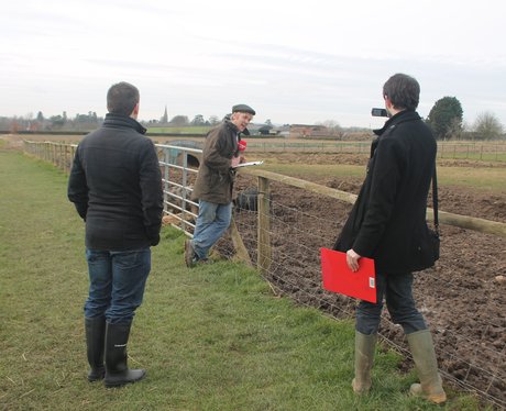Over Farm Pig Racing