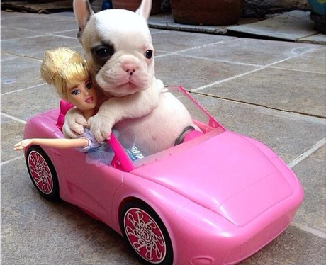 barbie puppy car