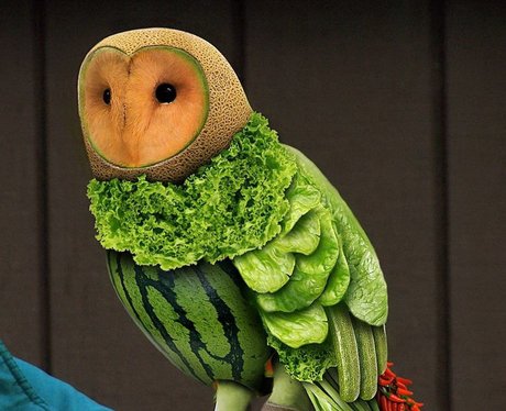 owl made of fruit and vegetables