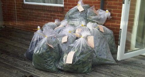 Bournemouth drugs raids