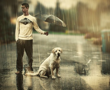 man holding umbrella over dog