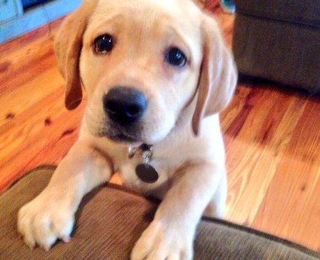 Cutest Pictures Of The Week
