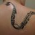 Image 8: A tattoo of some sheet music