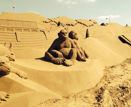 Sand Festival 