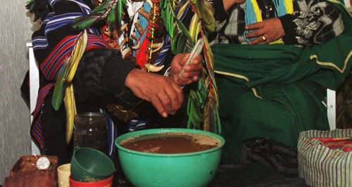 A colombian shaman prepares a batch of Yage. (PA)