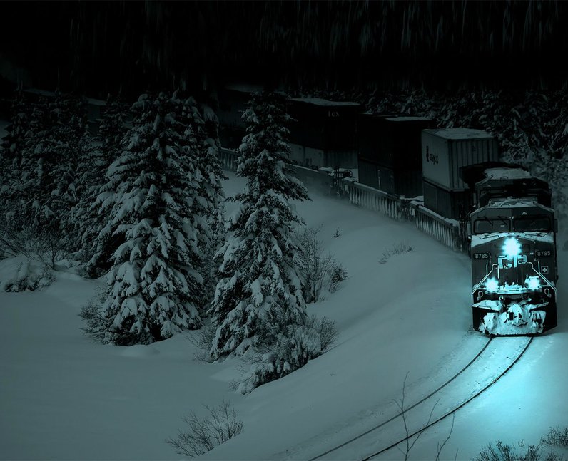 train in snowy forest